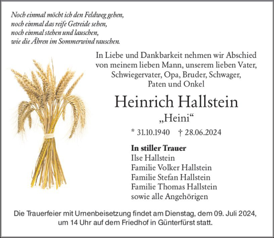 Traueranzeige von Heinrich Hallstein von Odenwälder Echo