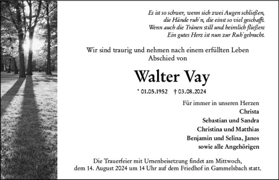 Traueranzeige von Walter Vay von Odenwälder Echo